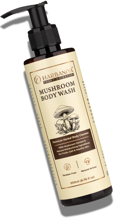 Mushroom Body Wash
