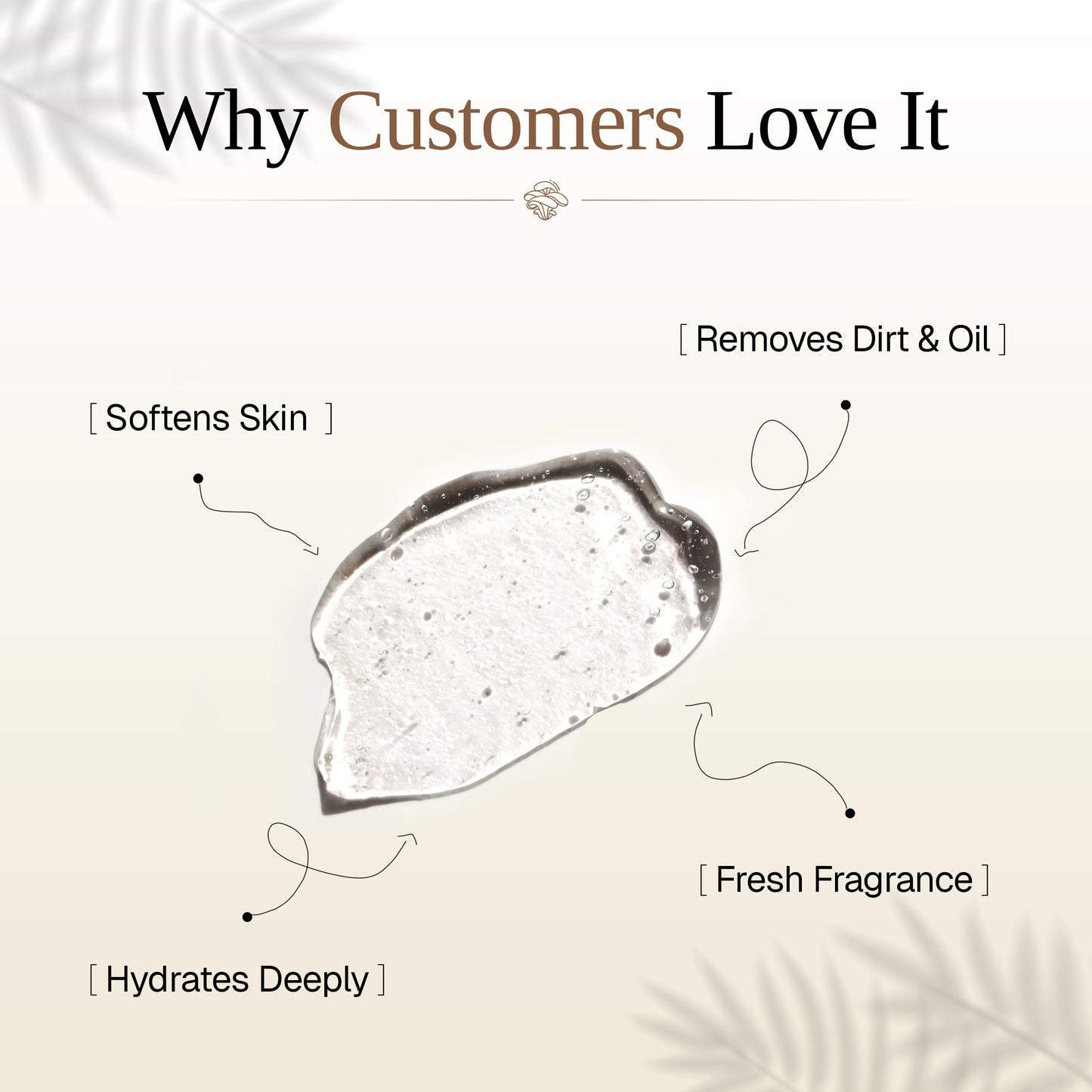 Mushroom Body Wash