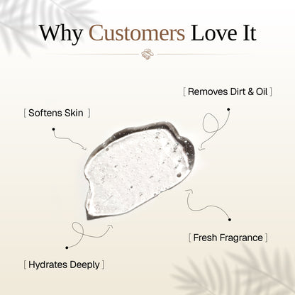 Mushroom Body Wash
