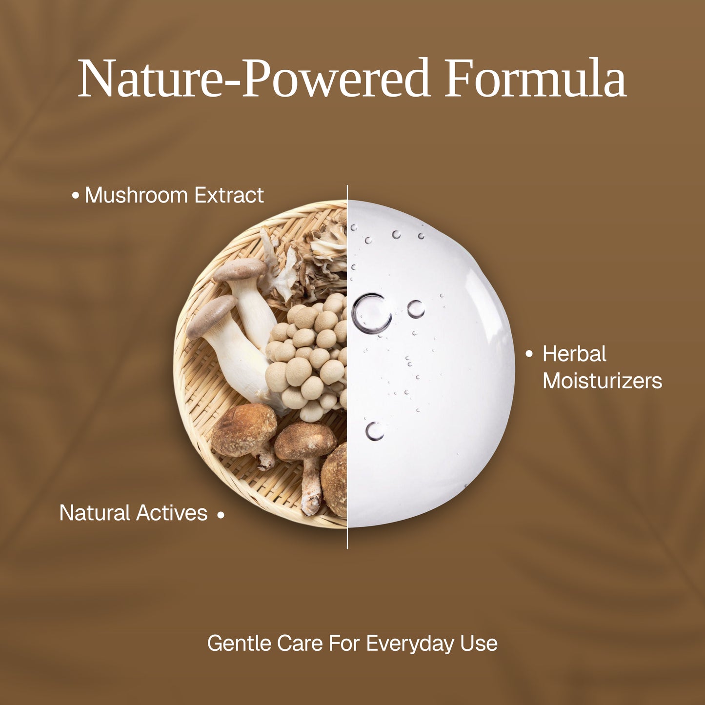 Mushroom Body Wash