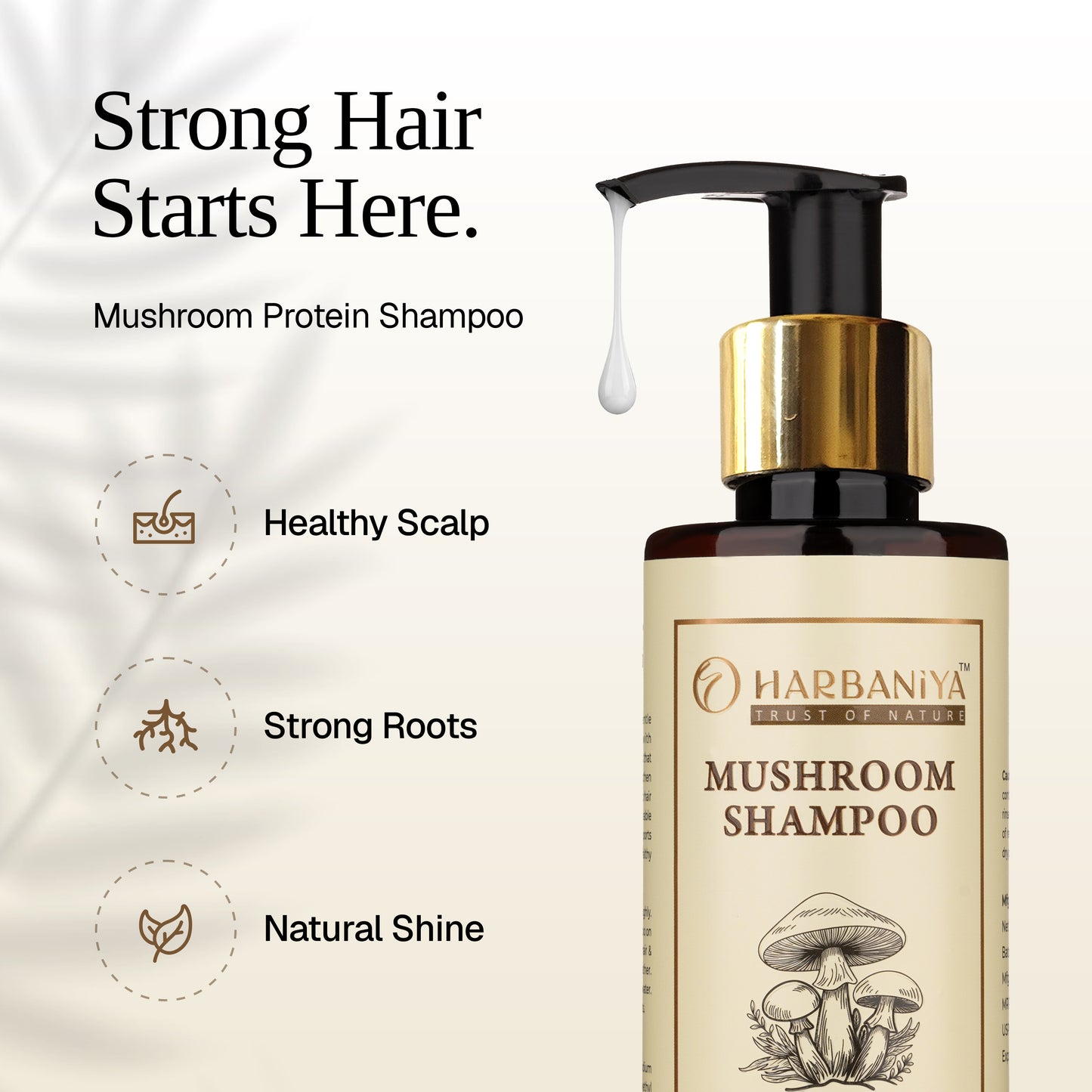 Mushroom Shampoo