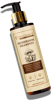 Mushroom Shampoo